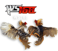 ws168 ALOHA4D