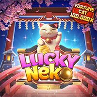 neko ALOHA4D